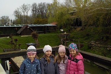 Obrázek č.20
