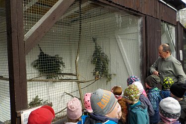 Obrázek č.19