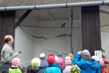 Obrázek č.22