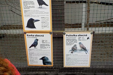 Obrázek č.23