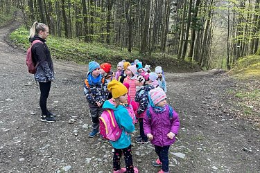 Obrázek č.125