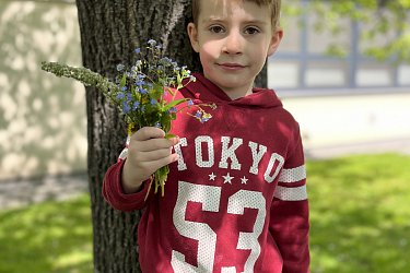 Obrázek č.27