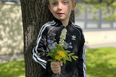 Obrázek č.28