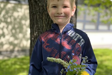 Obrázek č.31