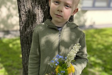 Obrázek č.42