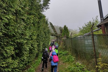 Obrázek č.10