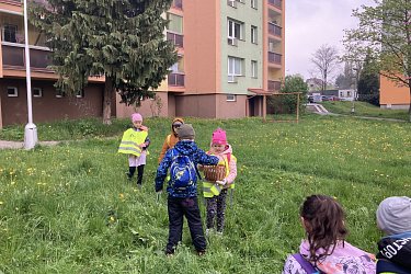 Obrázek č.51