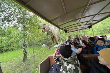 Obrázek č.100