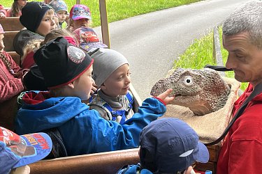 Obrázek č.105