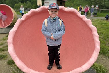 Obrázek č.69