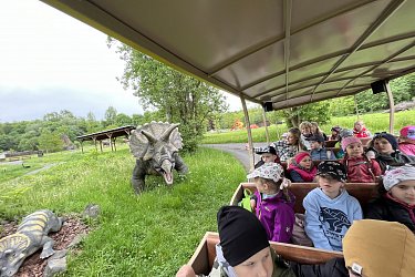 Obrázek č.96
