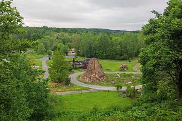 Obrázek č.204