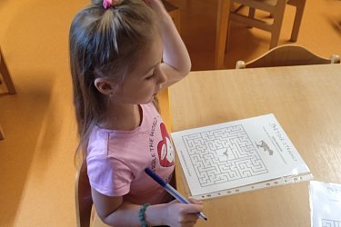 Obrázek č.15