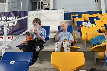 Obrázek č.88