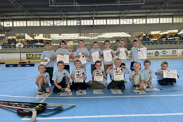 Obrázek č.98