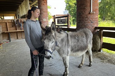 Obrázek č.63