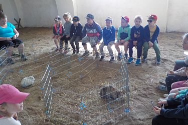 Obrázek č.7