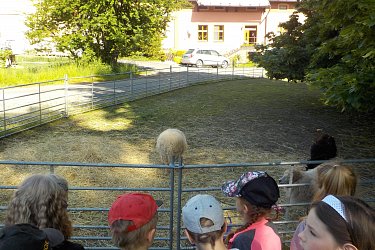 Obrázek č.20