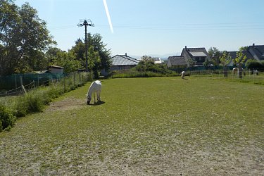 Obrázek č.45