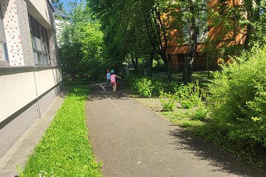 Obrázek č.50
