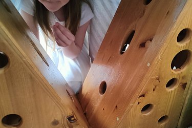 Obrázek č.63