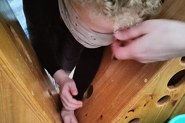 Obrázek č.87