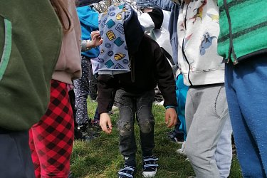 Obrázek č.260