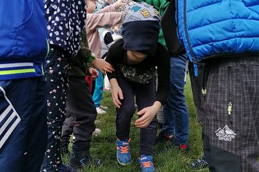 Obrázek č.269