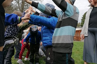 Obrázek č.268