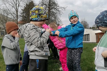 Obrázek č.295