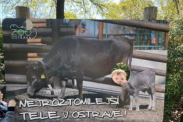 Obrázek č.47