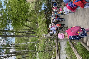 Obrázek č.33
