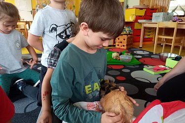 Obrázek č.17