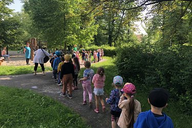 Obrázek č.16