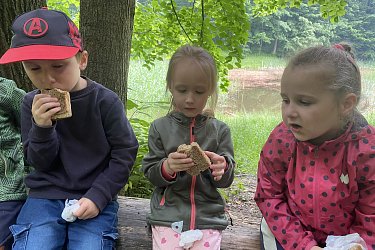 Obrázek č.15