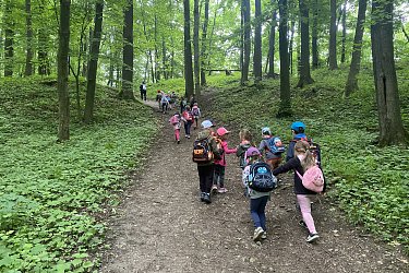 Obrázek č.22