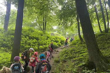 Obrázek č.28