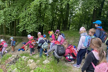 Obrázek č.31