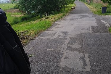 Obrázek č.25