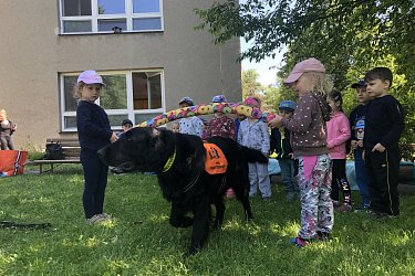 Obrázek č.87