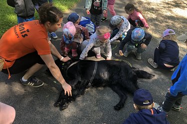 Obrázek č.91