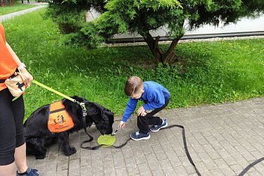 Obrázek č.12