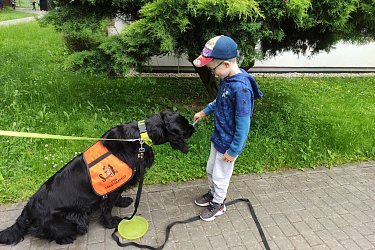 Obrázek č.15