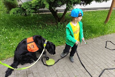 Obrázek č.26