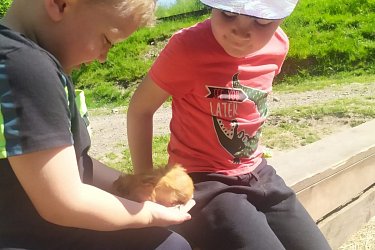 Obrázek č.66