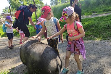 Obrázek č.60