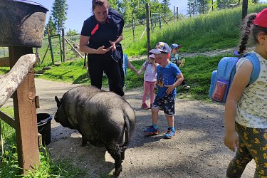 Obrázek č.63