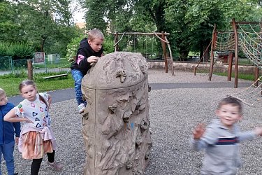 Obrázek č.218