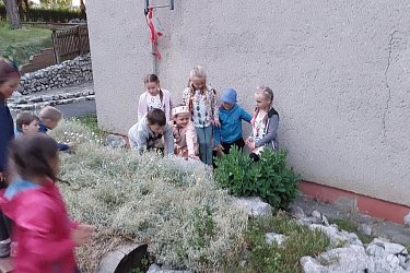 Obrázek č.90