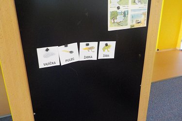Obrázek č.9